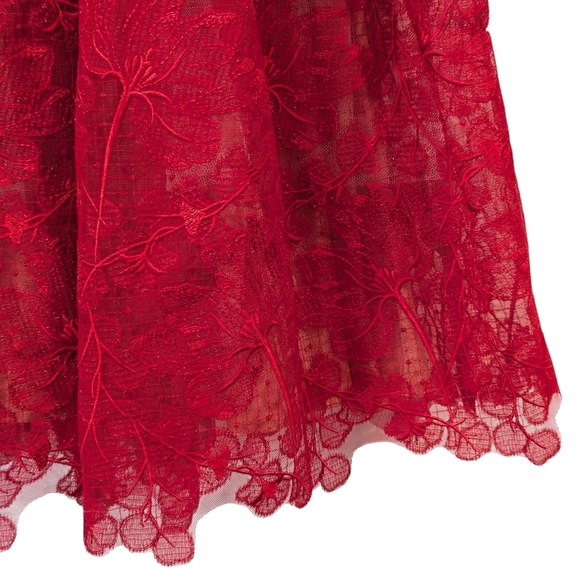 Nadine Merabi Olivia Red Lace Corsetry Bodice Dress Size Small/4 - Picture 3 of 14